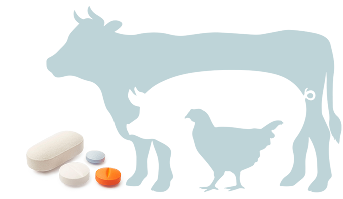 Veterinary Medicine for Goats