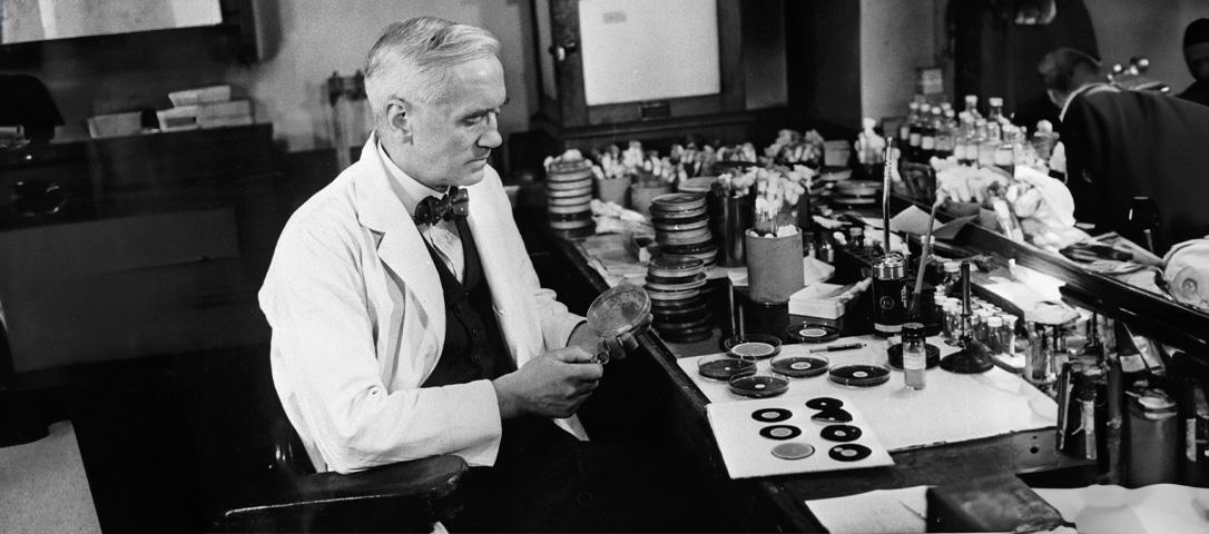 The Discovery of Penicillin Changed the World of Medicine The Discovery of Penicillin Changed the World of Medicine