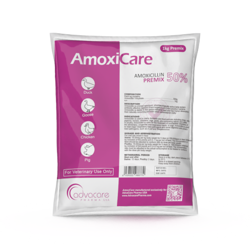 Amoxicillin Premix (1 bag)