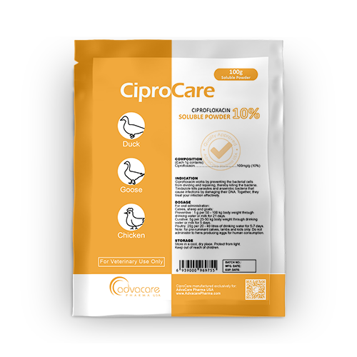 Ciprofloxacin Soluble Powder (1 bag)