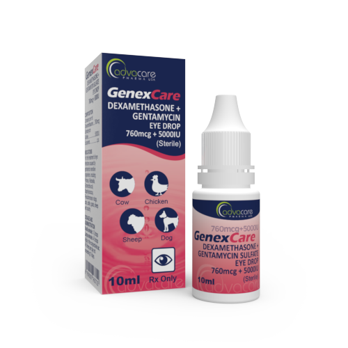 Gentamicin sulfate ophthalmic solution for dogs hotsell