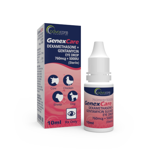 Dexamethasone + Gentamicin Eye Drops (1 box and 1 bottle)