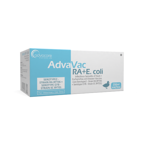 Infectious Serositis of Duck + Escherichia Coli Disease Vaccine (box of 1 vial)