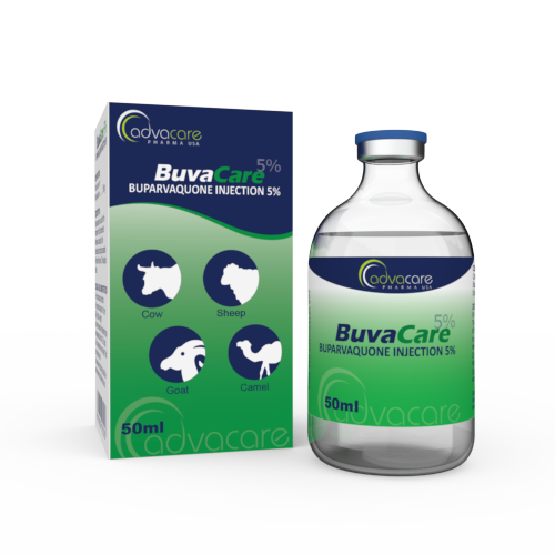 Inyección de Buparvaquona (1 caja y 1 frasco)