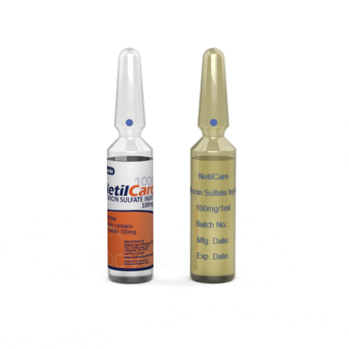 Netilmicin Sulfate Injection (1 ampoule ceramic printing and 1 ampoule labelling) Netilmicin Sulfate Injection (1 ampoule ceramic printing and 1 ampoule labelling)