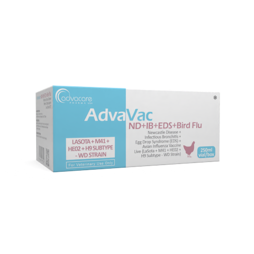 Newcastle Disease + Infectious Bronchitis + Egg drop syndrome (EDS) + Avian Influenza Vaccine (box of 1 vial)