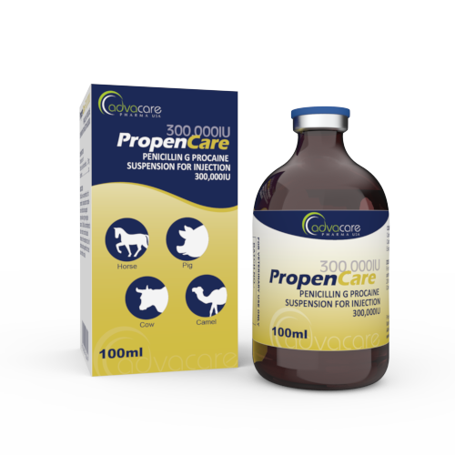 Penicillin G Procaine Suspension for Injection (1 box and 1 vial)