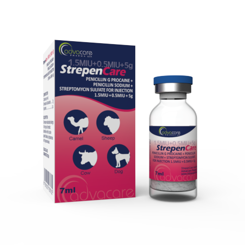 Penicillin G Procaine + Penicillin Sodium + Streptomycin Sulfate for Injection (1 box and 1 vial)