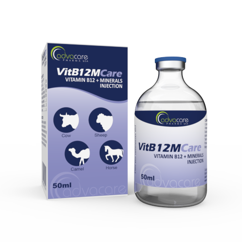 Vitamin B12 + Minerals Injection (1 box and 1 vial) Vitamin B12 + Minerals Injection (1 box and 1 vial)