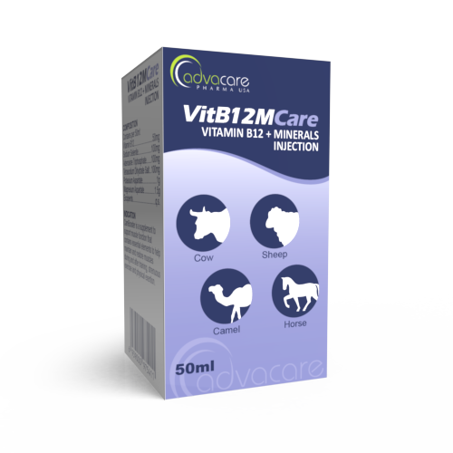 Vitamin B12 + Minerals Injection (box of 1 vial) Vitamin B12 + Minerals Injection (box of 1 vial)