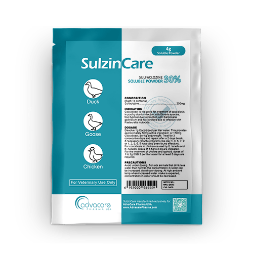 Poudre Soluble de Sulfaclozine (1 sachet)