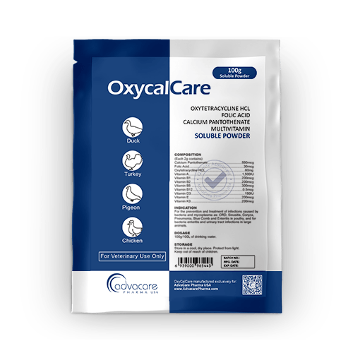 Poudre Soluble d'Oxytétracycline HCl + Acide Folique + Pantothénate de Calcium + Multivitamines (1 sac)