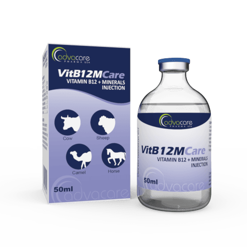 Vitamin B12 + Minerals Injection (1 box and 1 vial)