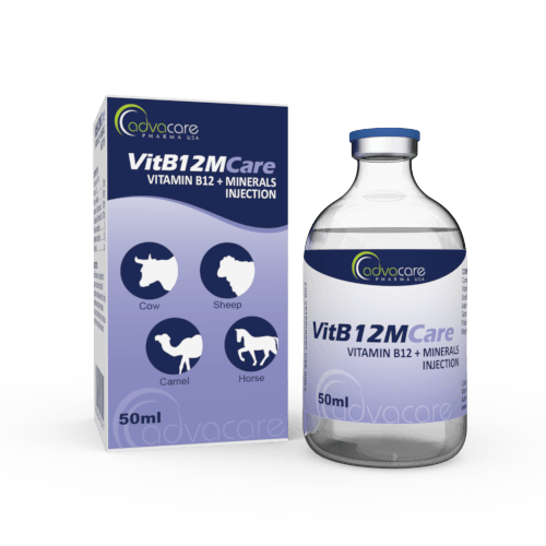 Injection de Vitamine B12 + Minéraux (1 boîte et 1 flacon)