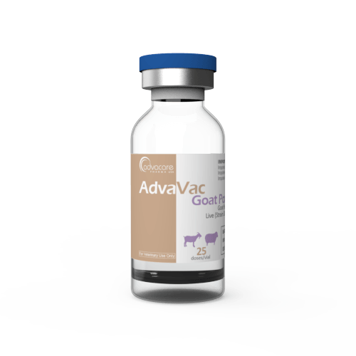 Goat Pox Vaccine (1 vial)