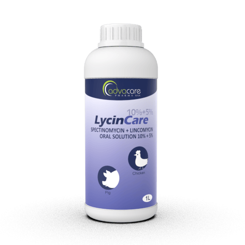 Espectinomicina + Lincomicina Solución Oral (1 botella)