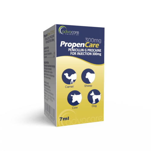 Penicillin G Procaine for Injection (box of 1 vial)