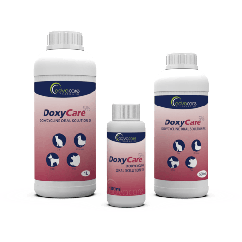 Doxycycline Oral Solution (100ml bottle, 500ml bottle and 1L bottle)