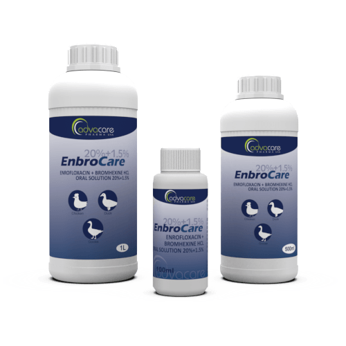 Enrofloxacin + Bromhexine HCl Oral Solution (100ml bottle, 500ml bottle and 1L bottle)