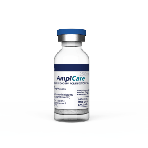 Ampicilline Sodique pour Injection (1 flacon)