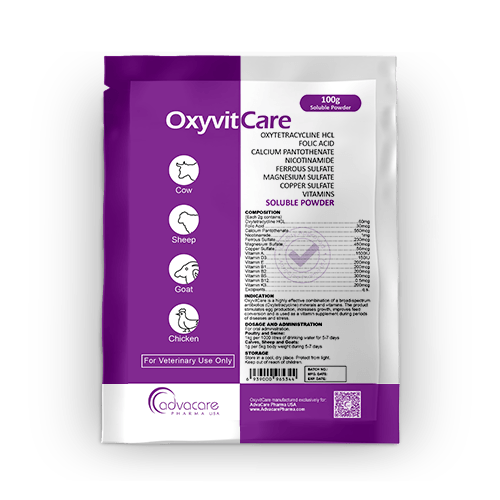 Oxytetracycline + Folic Acid + Calcium Pantothenate + Minerals + Multivitamin Soluble Powder (1 bag)