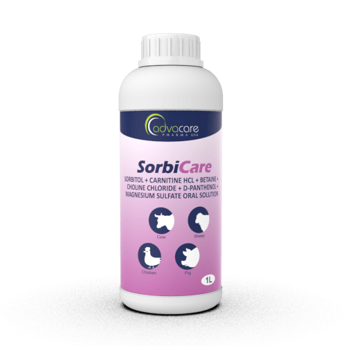 Solution Orale de Sorbitol + Carnitine HCl + Bétaïne + Chlorure de Choline + D-Panthénol + Sulfate de Magnésium (1 bouteille)