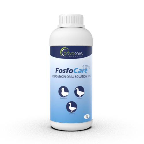 Fosfomycin Oral Solution (1 bottle)