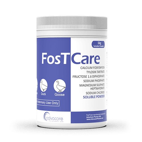 Calcium Fosfomycin + Tylosin Tartrate Soluble Powder (1 bottle)
