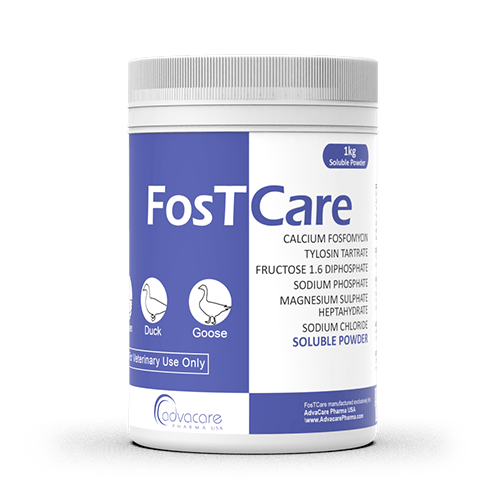 Calcium Fosfomycin + Tylosin Tartrate Soluble Powder (1 bottle)