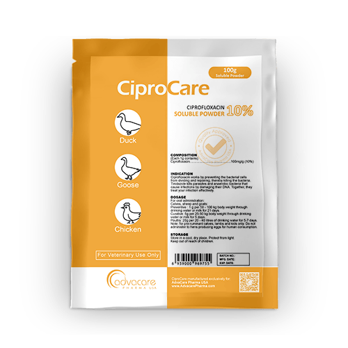 Poudre Soluble de Ciprofloxacine (1 sac)