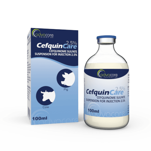 Cefquinome Sulfate Suspension for Injection (1 box and 1 vial)
