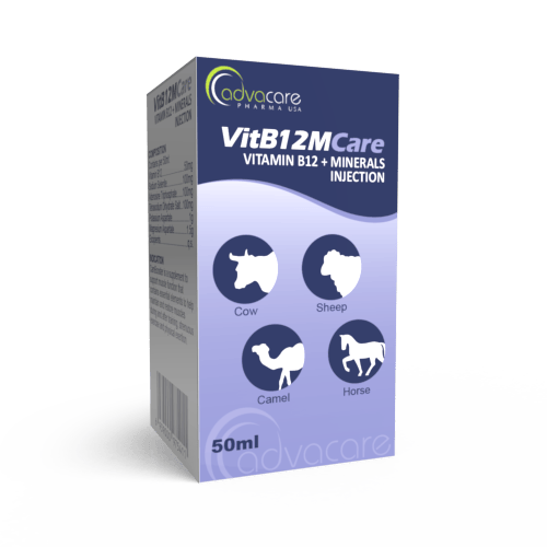 Vitamin B12 + Minerals Injection (box of 1 vial)