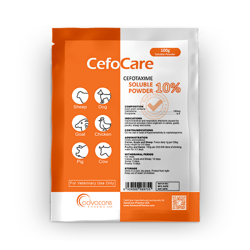 Cefotaxime Soluble Powder (1 bag)