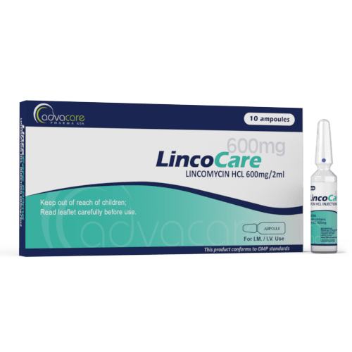 Lincomycin HCl Injection (1 box and 1 ampoule)