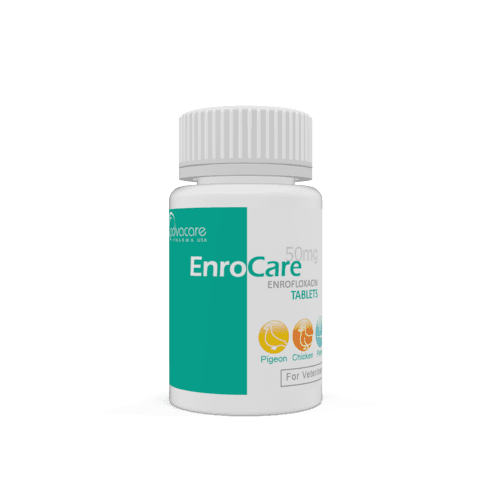 Enrofloxacin Tablets (bottle of 100 tablets)