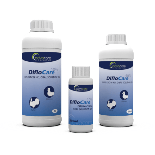 Difloxacin HCl Oral Solution (100ml bottle, 500ml bottle and 1L bottle)