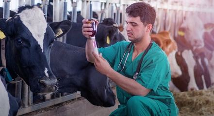 advacarepharma-future-of-livestock-farming-vet