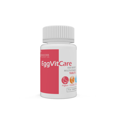 Egg Boost Multivitamin Tablets (bottle of 100 tablets)