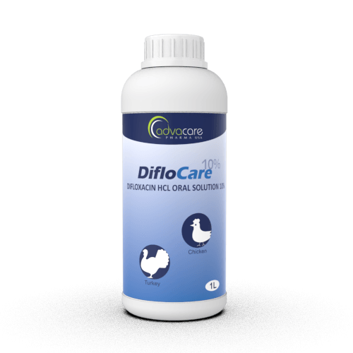 Solution Orale de Difloxacine HCl (1 bouteille)