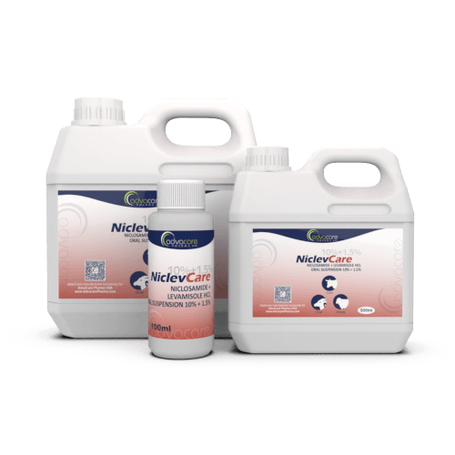 Niclosamide + Levamisole HCl Oral Suspension (100ml bottle, 500ml bottle and 1L bottle)