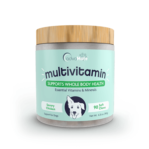 Dog multivitamin best sale