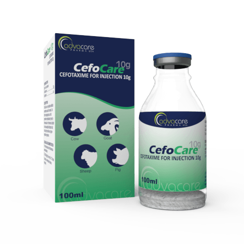 Cefotaxime for Injection (1 box and 1 vial)