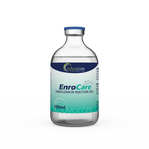 Inyección de Enrofloxacina (1 frasco)