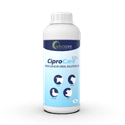 Ciprofloxacin Oral Solution (1 bottle)