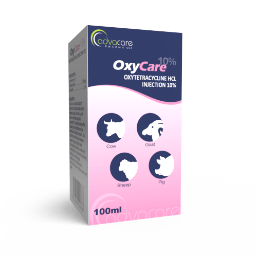 Oxytetracycline HCl Injection (box of 1 vial)