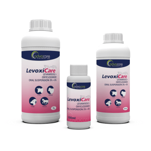 Suspension Orale de Levamisole HCl + Oxyclozanide (Bouteille de 100ml, 500bouteille de ml et 1bouteille de L)