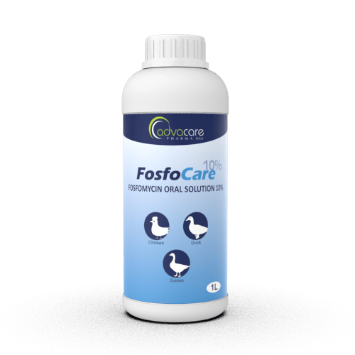 Fosfomycin Oral Solution (1 bottle)