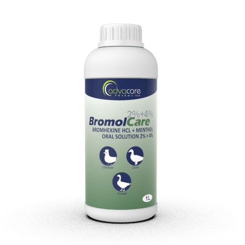 Bromhexine HCl + Menthol Oral Solution (1 bottle)