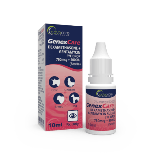 Dog eye drops for inflammation hotsell