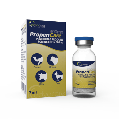 Pénicilline G Procaïne pour Injection (1 boîte et 1 flacon)